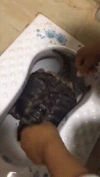 严丝合缝。
那么问题来了，它是怎么进去的？