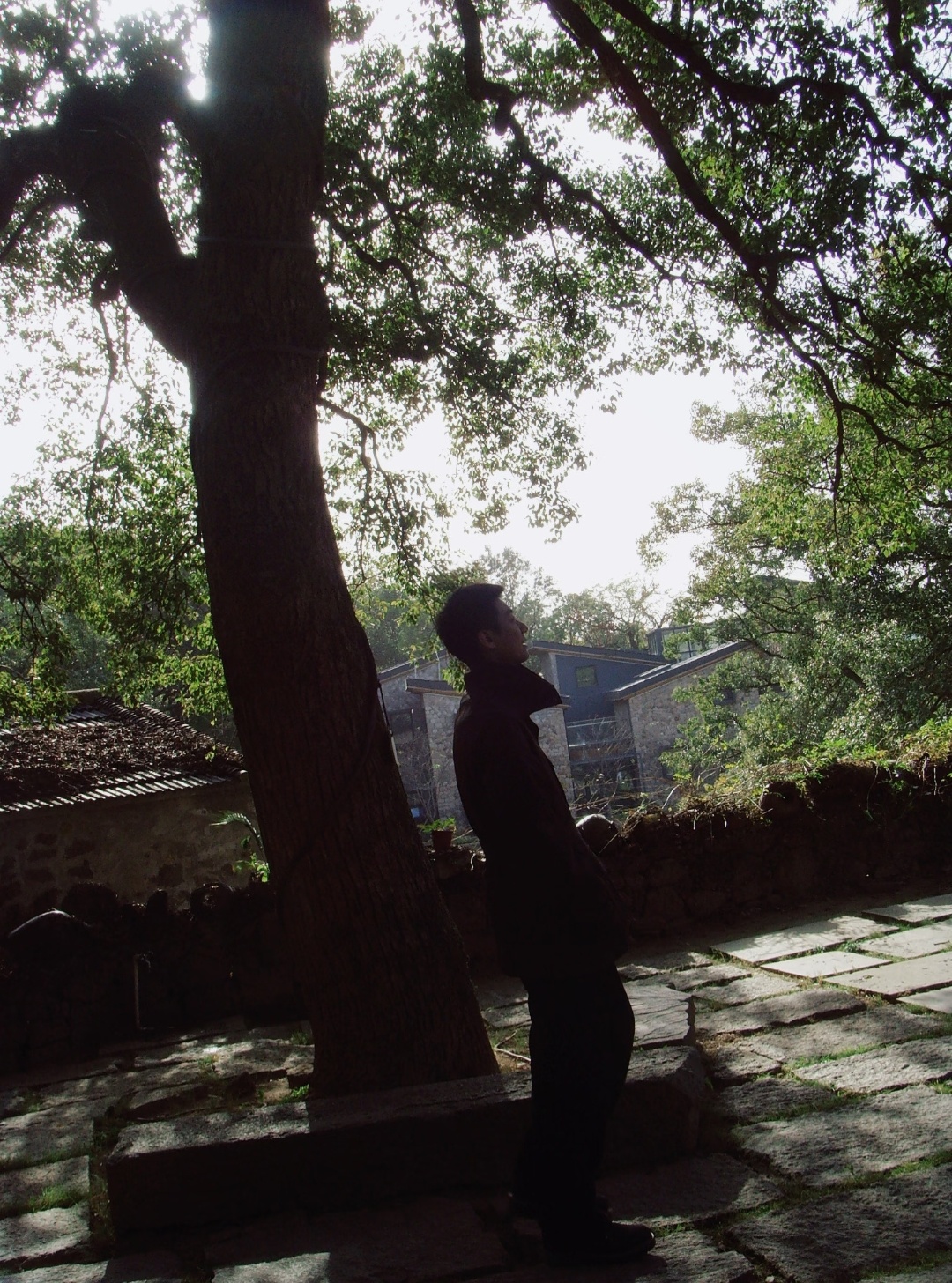 高至霆分享日常～“小年纳福🌳看衣服眼熟不，假装不知道这是一组库存🤫” 