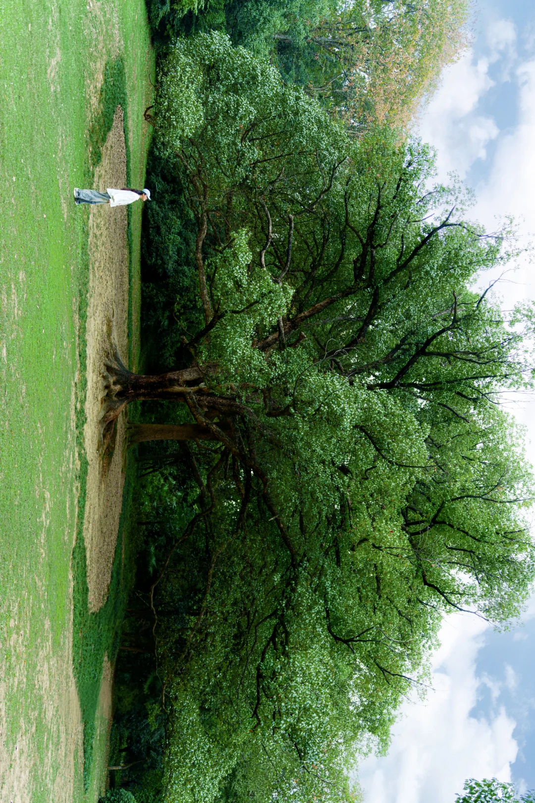 第一次来杭州！直接复制这条2️⃣日游路线