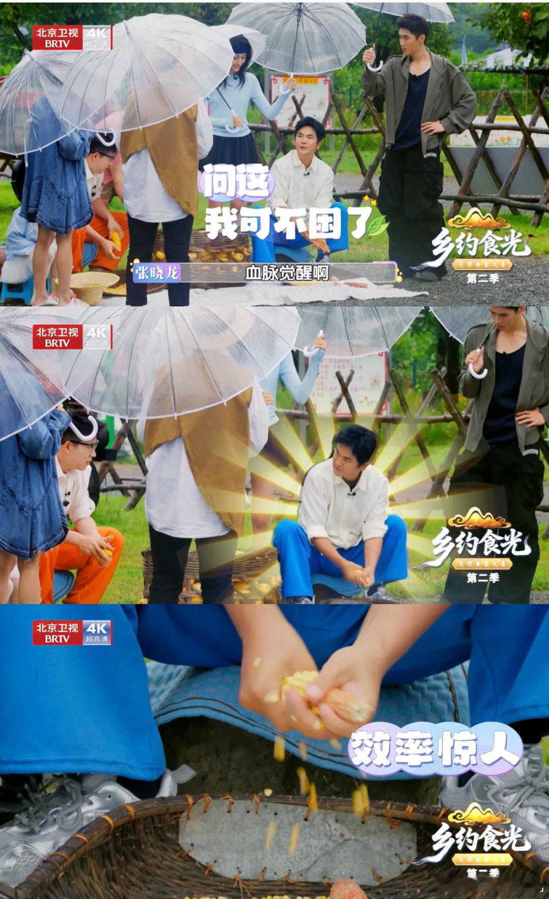 温太医退休后去桃园看大门了温太医转行种桃了 温太医退休后去桃园看大门，这剧情比《
