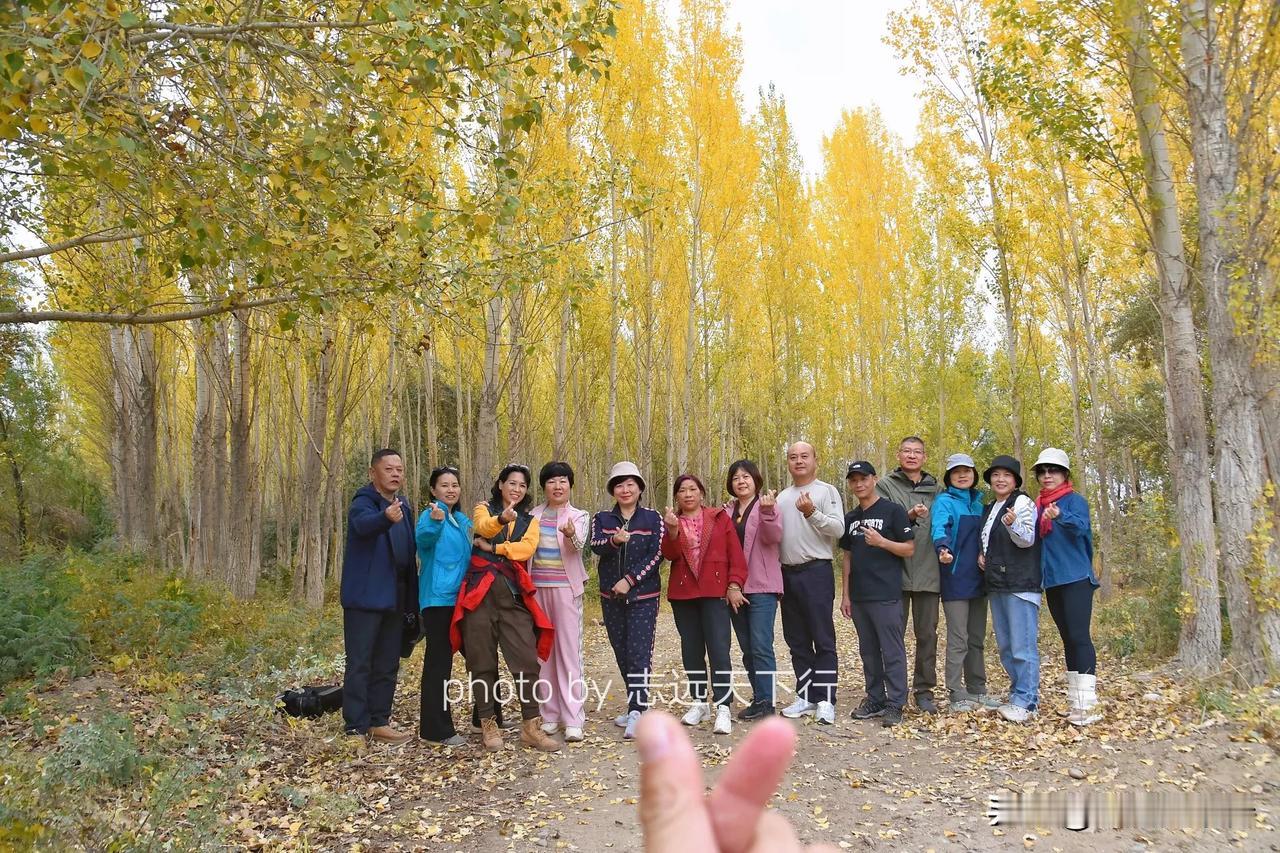 新疆处处有美景，从富蕴县往阿勒泰的途中，随处可见绝美的金秋，像行走在画中一样，一