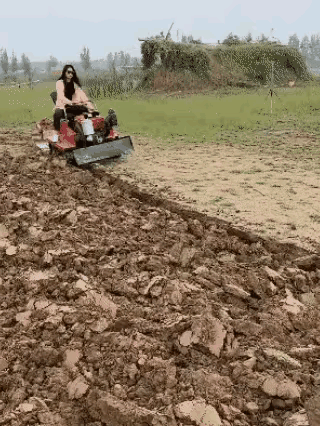 这样耕地好爽啊！