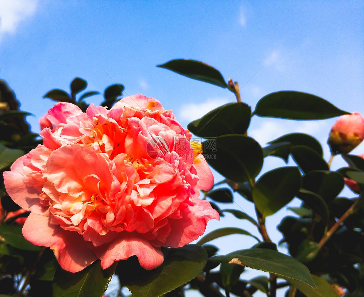 周三盘后再度传来重磅利好消息，周四仍需持续关注主线方向！
周三盘后重磅利好如下：