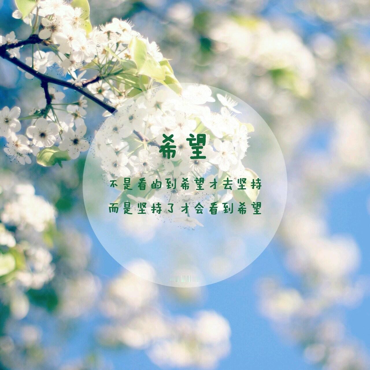 分享阅读后感：最近在阅读一些具有正面思维的故事，读来颇受益。
1、保持希望。无论