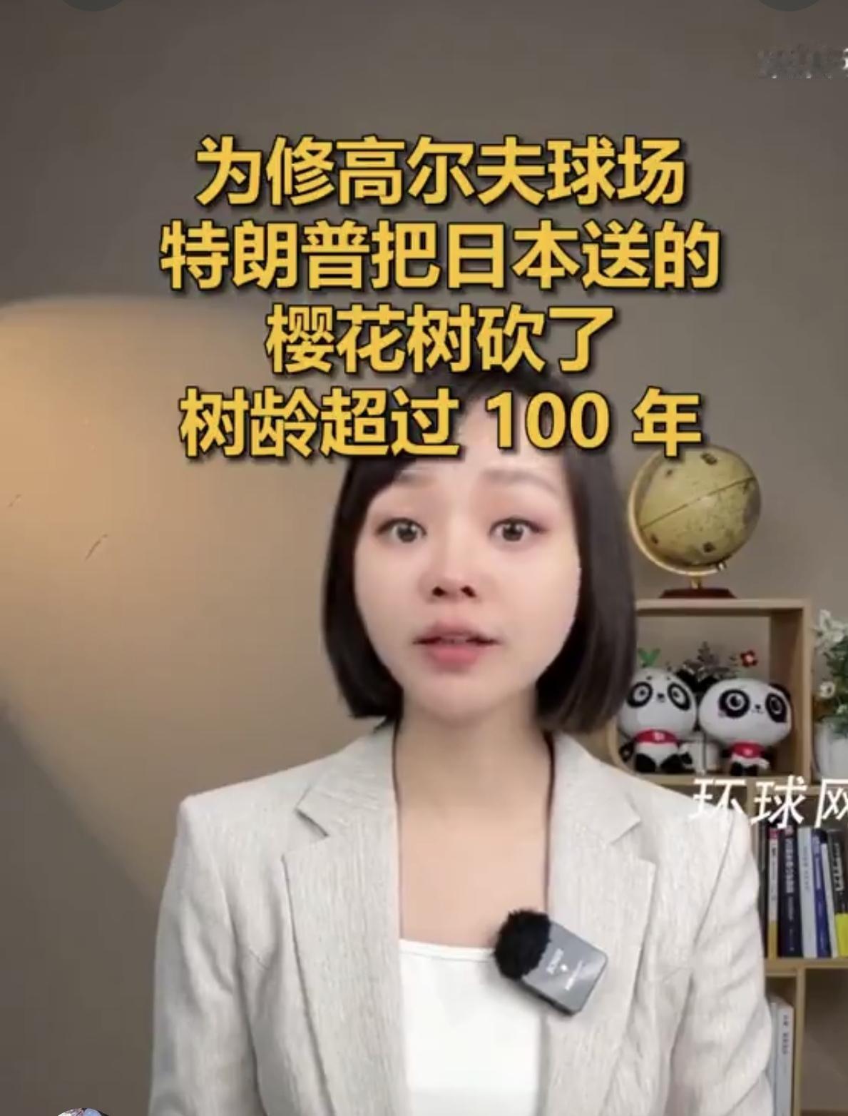 笑不活了。为修高尔夫球场，特朗普把日本送的樱花树砍了，据说树龄已经超过了 100