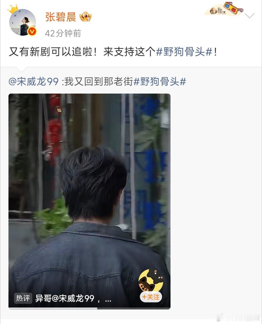 张碧晨宣传野狗骨头张碧晨这个宣传委员又来宣传《野狗骨头》啦，宋威龙在评论区回复：
