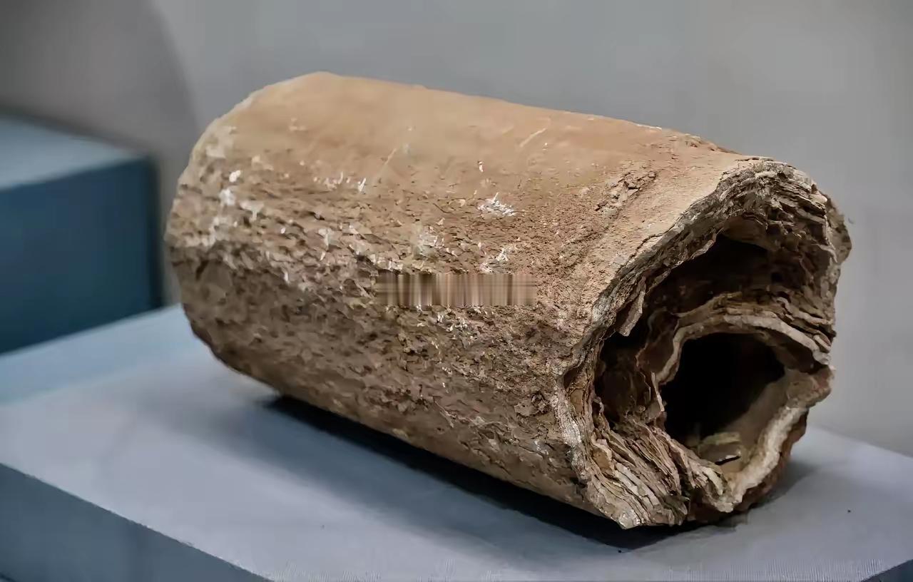 你们知道这一大坨是啥吗？提示：是文物哦！年代还很久远哦！答案来了： ​​​唐朝人