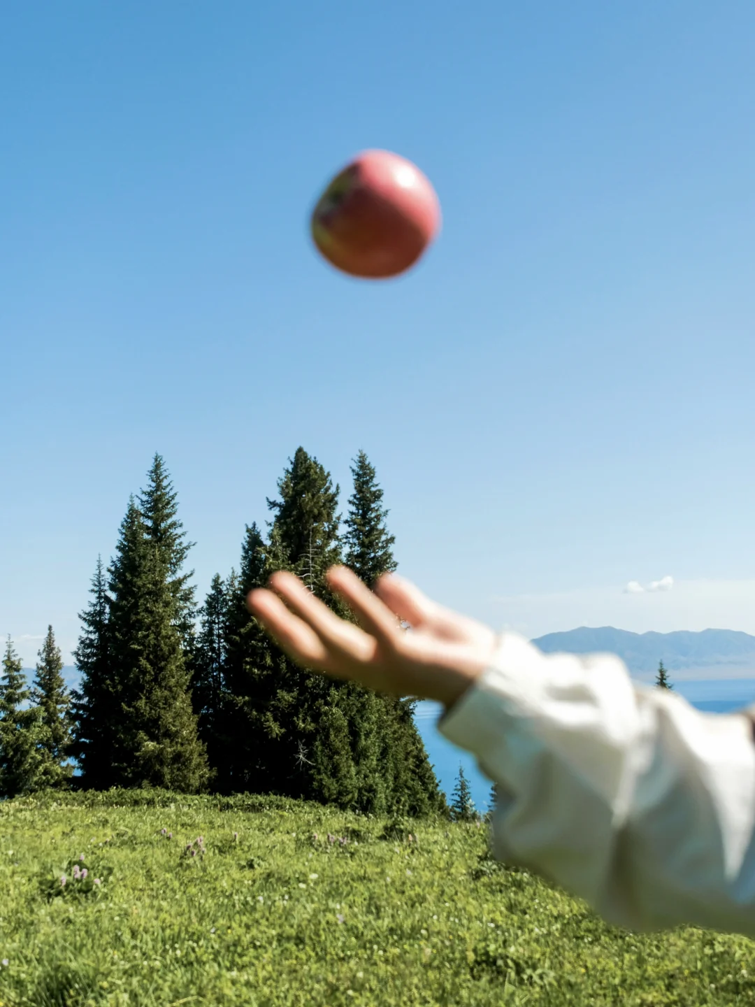 山野间的柔软绿意