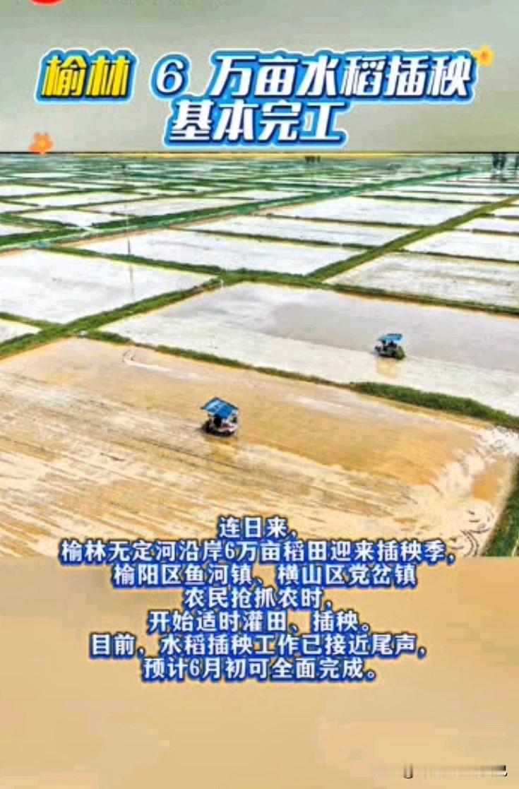榆林大变样！沙漠滩变出6万亩稻田，活生生塞上江南🌾
 
家人们谁破防了！一提水