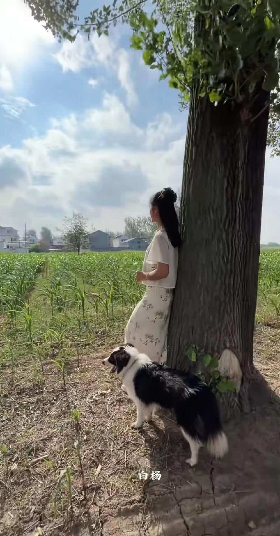 到了一定年龄，很多人就会发现，无论自己怎么努力，始终也无法改变自己的命运，最多让