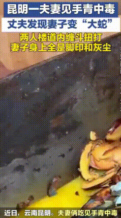 年年提醒，年年中招！作为云南人，真的看累也怕了。
 雨季野生菌鲜美诱人，但很多人
