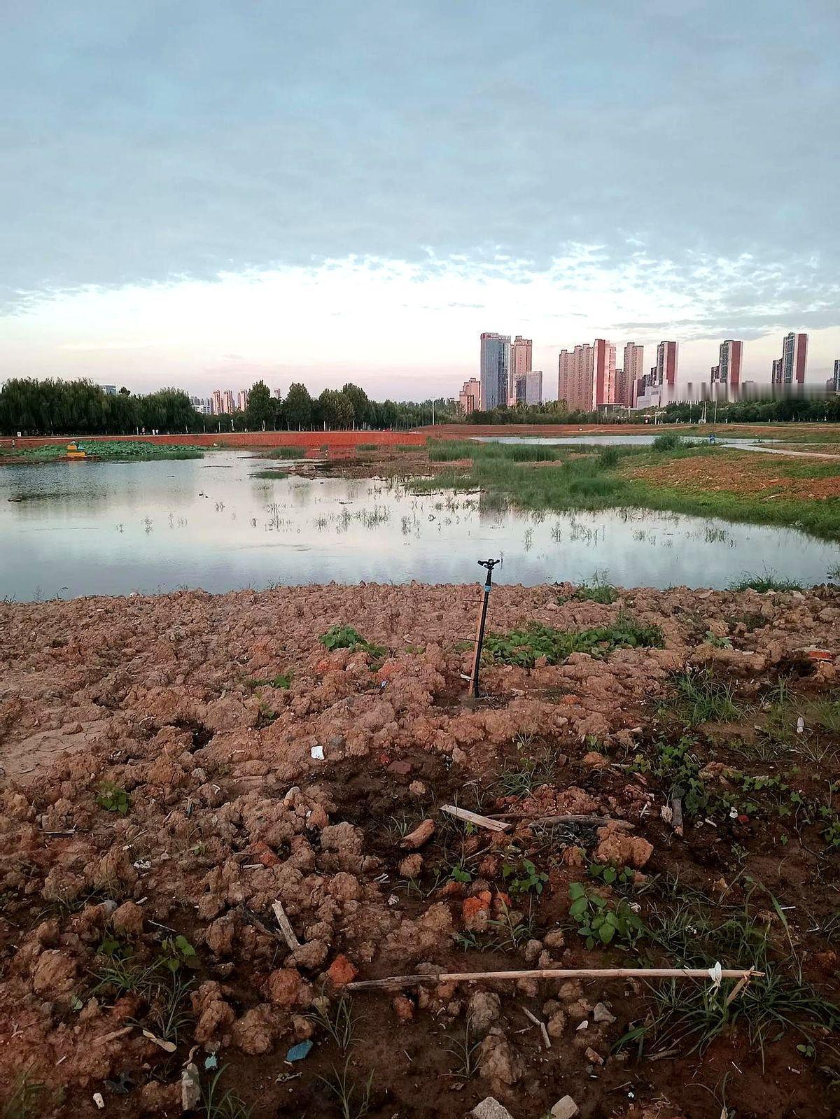 地铁口一抬脚就能进公园，步道修得比商场走廊还宽，花带四季接力开，江夏这次把“周末