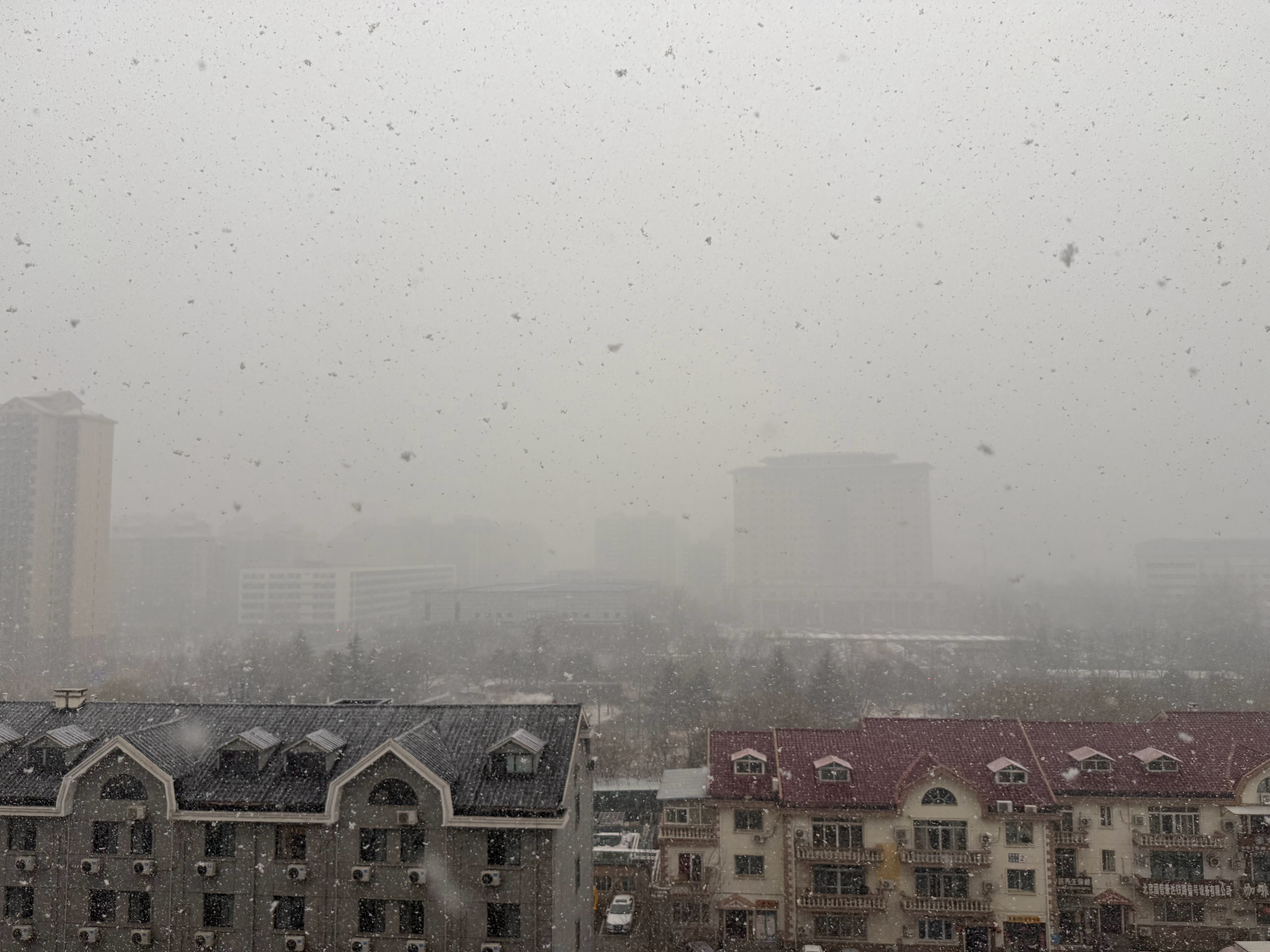 好大的雪❄️北京下雪