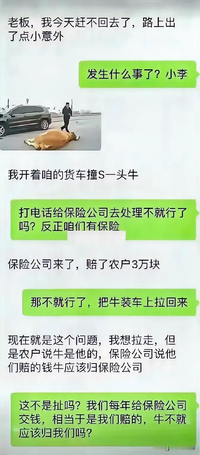 这牛🐮到底应该是谁的