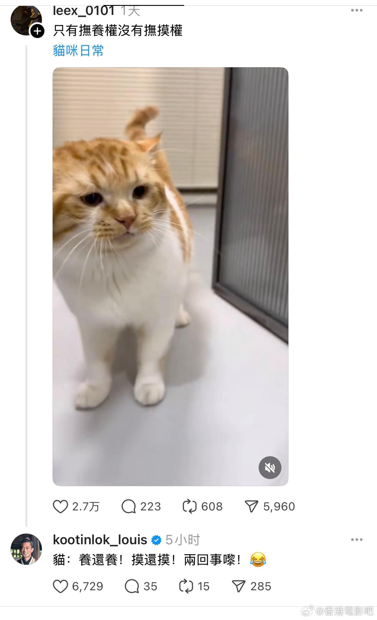 古天乐每天两眼一睁就开始上网撸猫🐱 ​​​