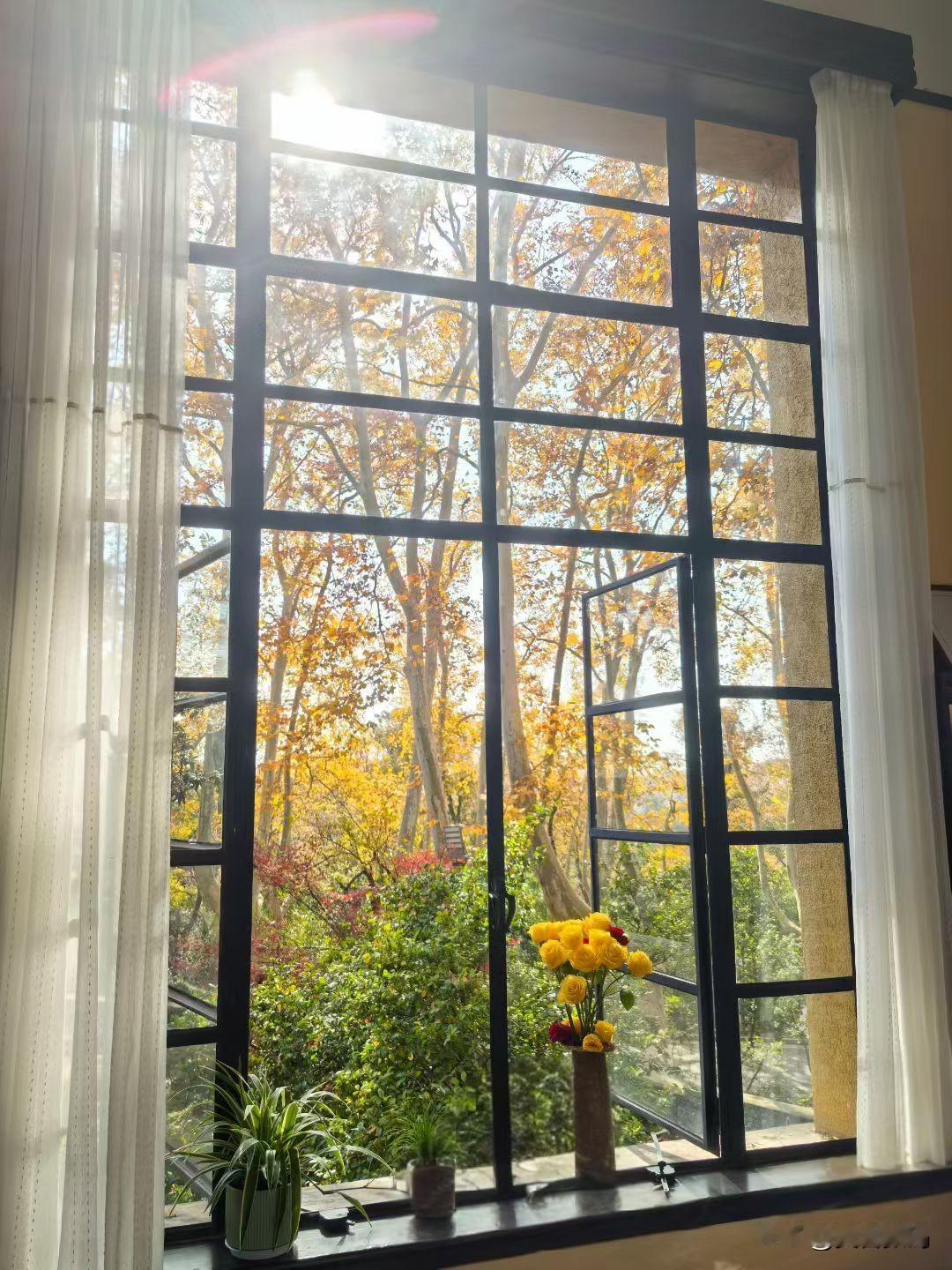 不要让别人否定的目光，扰乱你的心绪。有人会消耗你，也有人会鼓励你、支持你，给你能