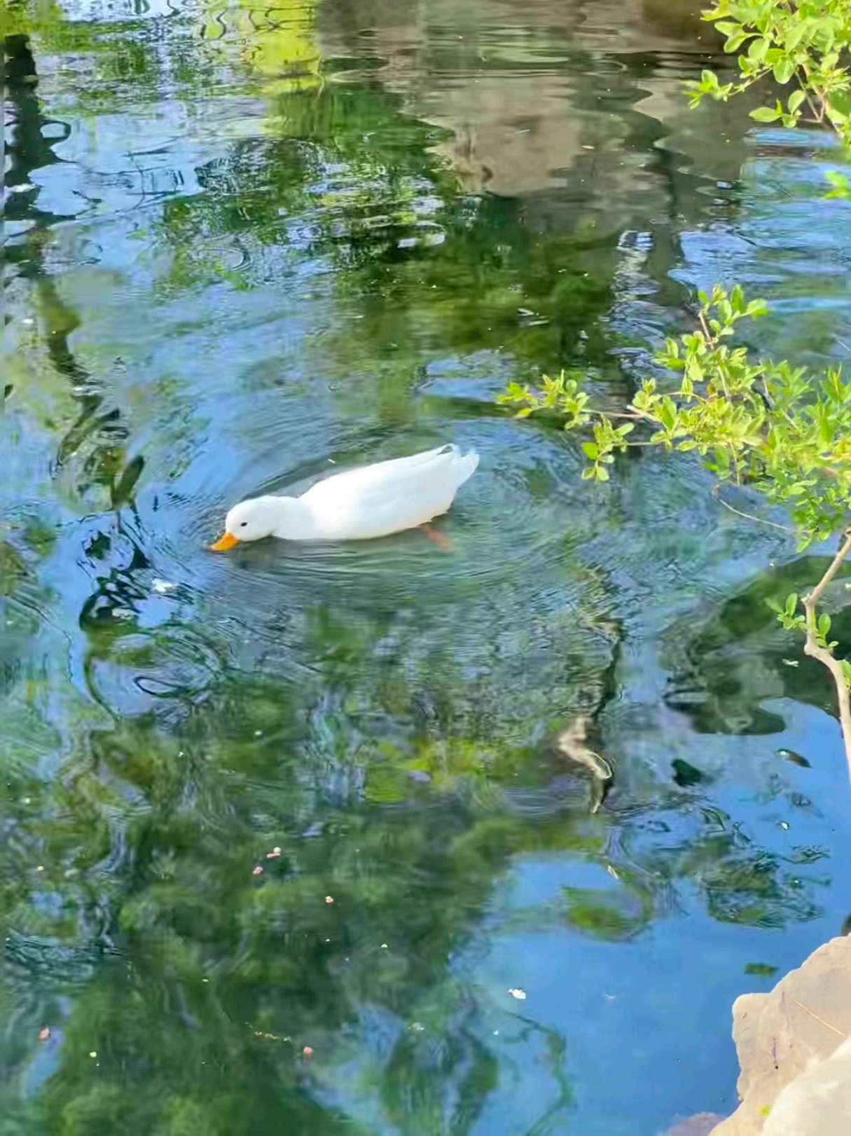 以善良为底色，用阳光绘就人生画卷，必定美不胜收。善良的微笑是阳光最生动的表达，传