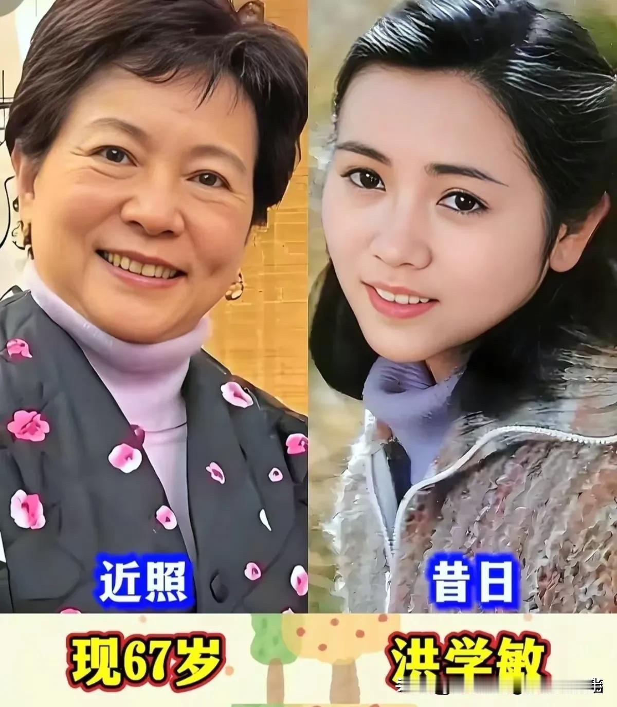 谁的青春记忆里，没有见过这几位老戏骨的身影？洪学敏、王馥荔、沈丹萍、赵奎娥、黄梅