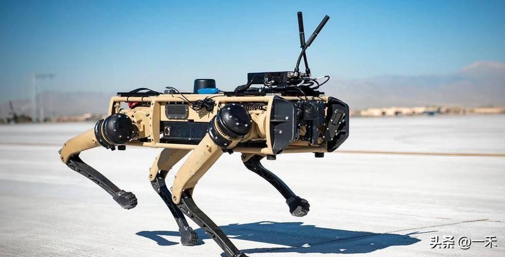 央视曝光！国产“机器狼群”批量列装，巷战无敌新战力来了
 
家人们！国之重器又出