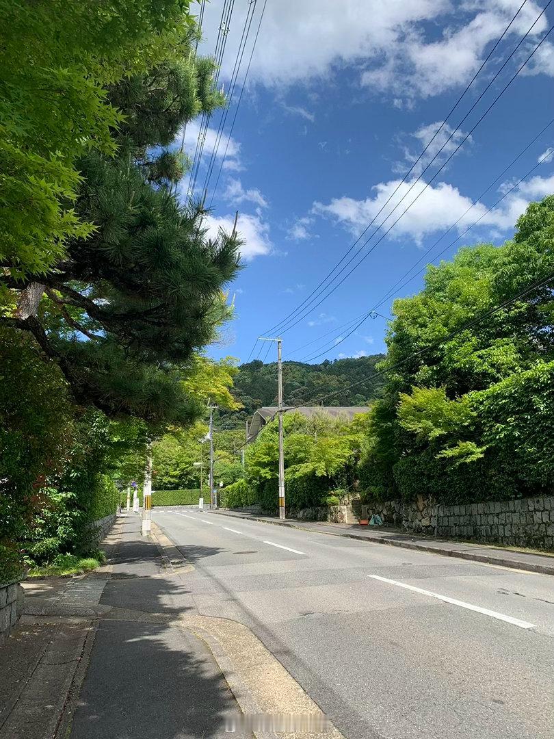 乡下的夏天 总是慢慢悠悠。 