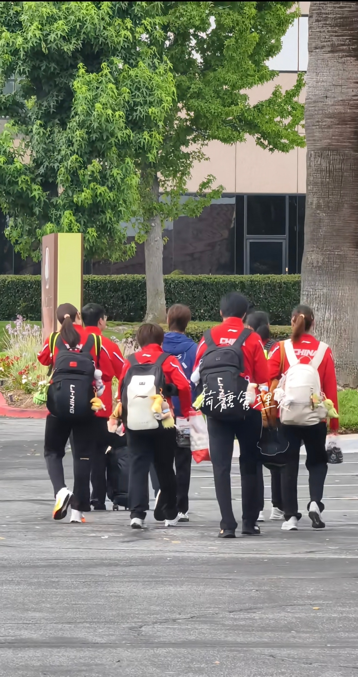 王曼昱 我也想跟这个领头的蓝色宝宝混