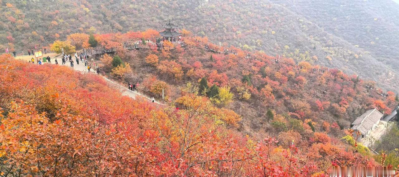 “媳妇岭，名字就好听~”旅游 户外 旅行