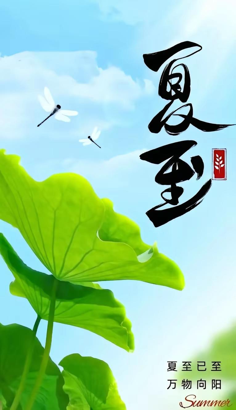 《西江月.夏至》
夏至云游四海，池边柳荡轻舟。
一帘清风不知愁，撷韵山清水秀。
