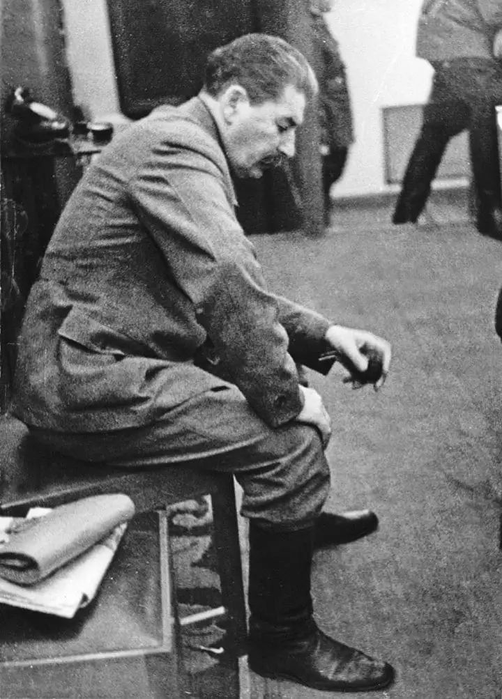 1941 年 8 月下旬，约瑟夫·斯大林在乌克兰基辅附近获悉德军最新进...