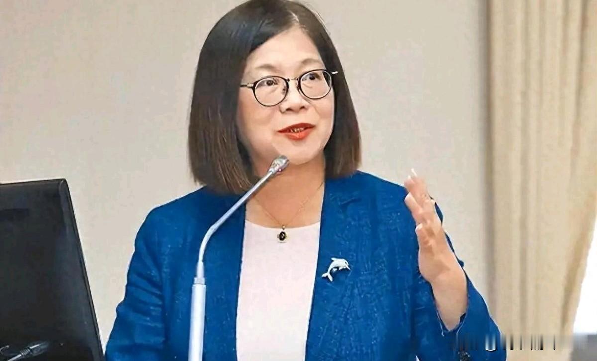 民进党当局对我们喊话！管碧玲声称，海上对峙不是比谁船大！6月11日，岛内“海委会