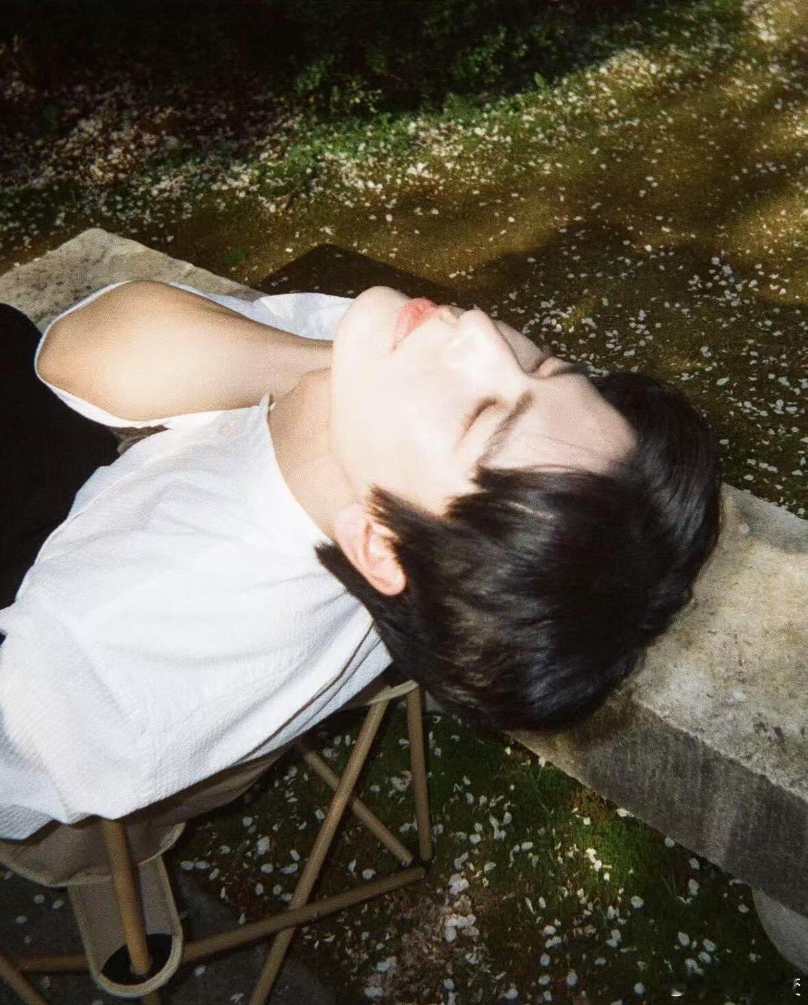 张凌赫  张凌赫的胶片张凌赫｜ 