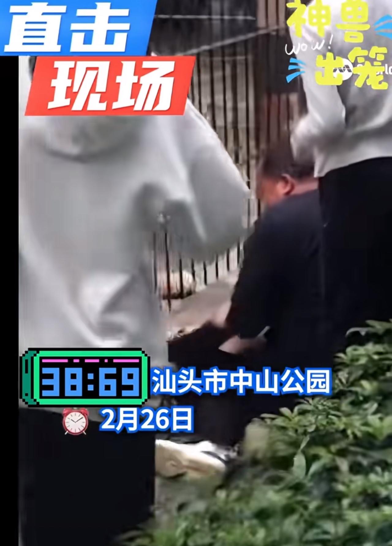 汕头动物园一狮子爪子伸出铁笼抓住投喂女孩裤子。
太惊险了。
一女孩动物园投喂狮子