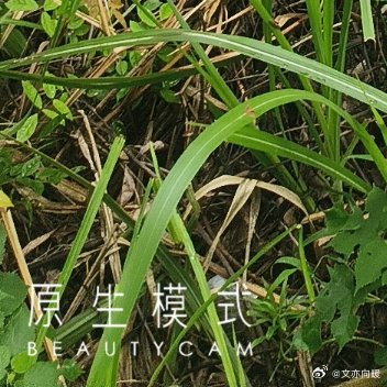 总纠结他人评价，强行插手别人生活，执着强求关系圆满，奢望世事恒久不变。执念缠身终