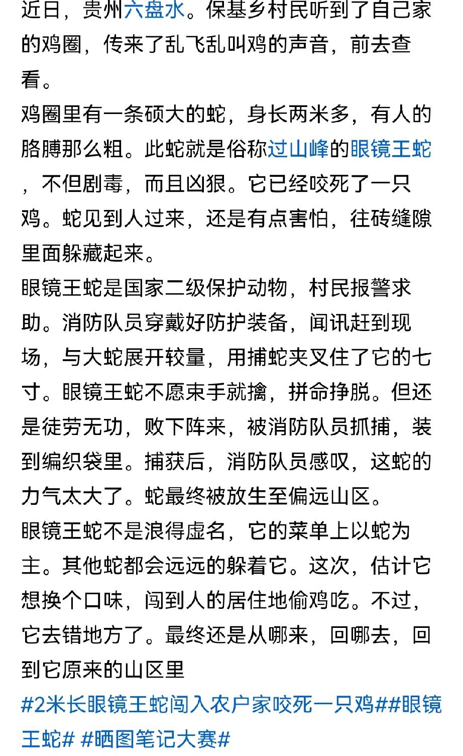 不料还是犯错了，昨天一篇微头条又违规了，这是10天内第三次违规。说我的作品含有引