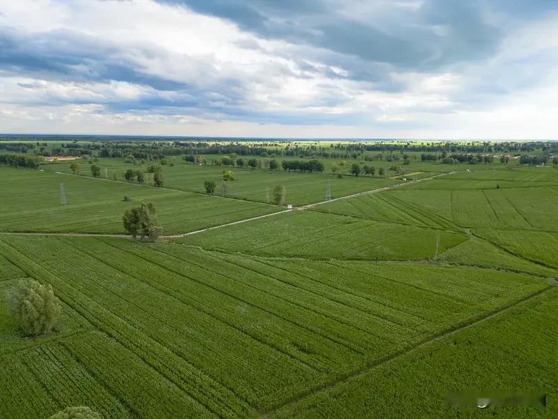 4月15日12时35分发布农业气象：预计15日午后至16日早晨全市有小到中雨天气