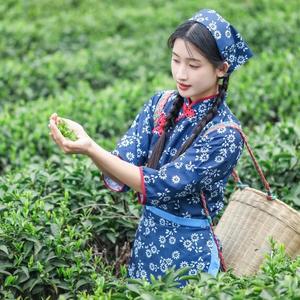 吕公茶园里的茶农