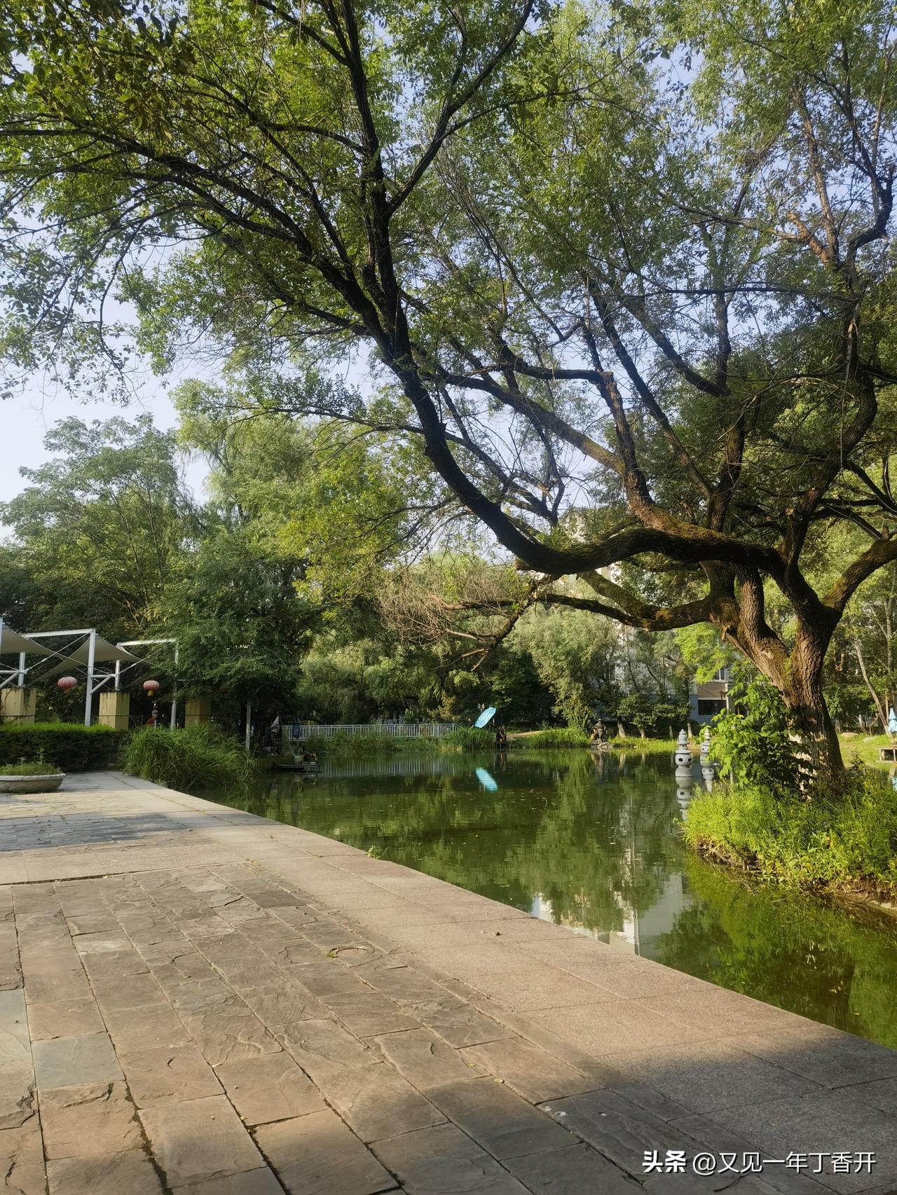 在我这个城市楼市冰火两重天

公婆那套房子六楼顶楼，我特意去附近中介问问，中介直
