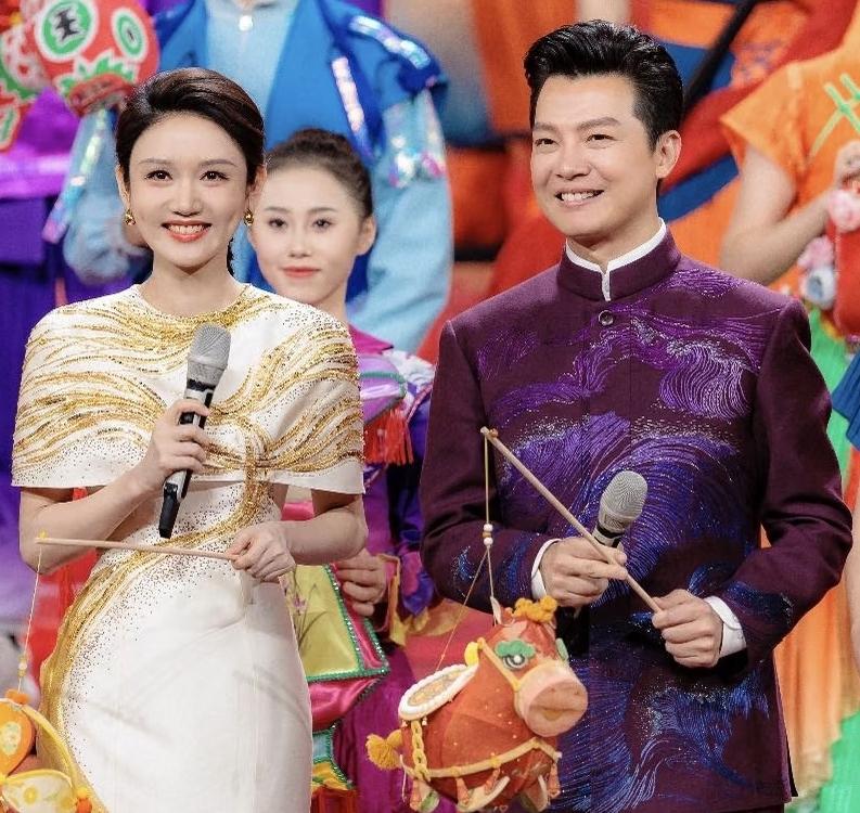 央视主持人中气质好的有很多，男主持人任鲁豫、张韬的气质不错。

女主持人中，龙洋