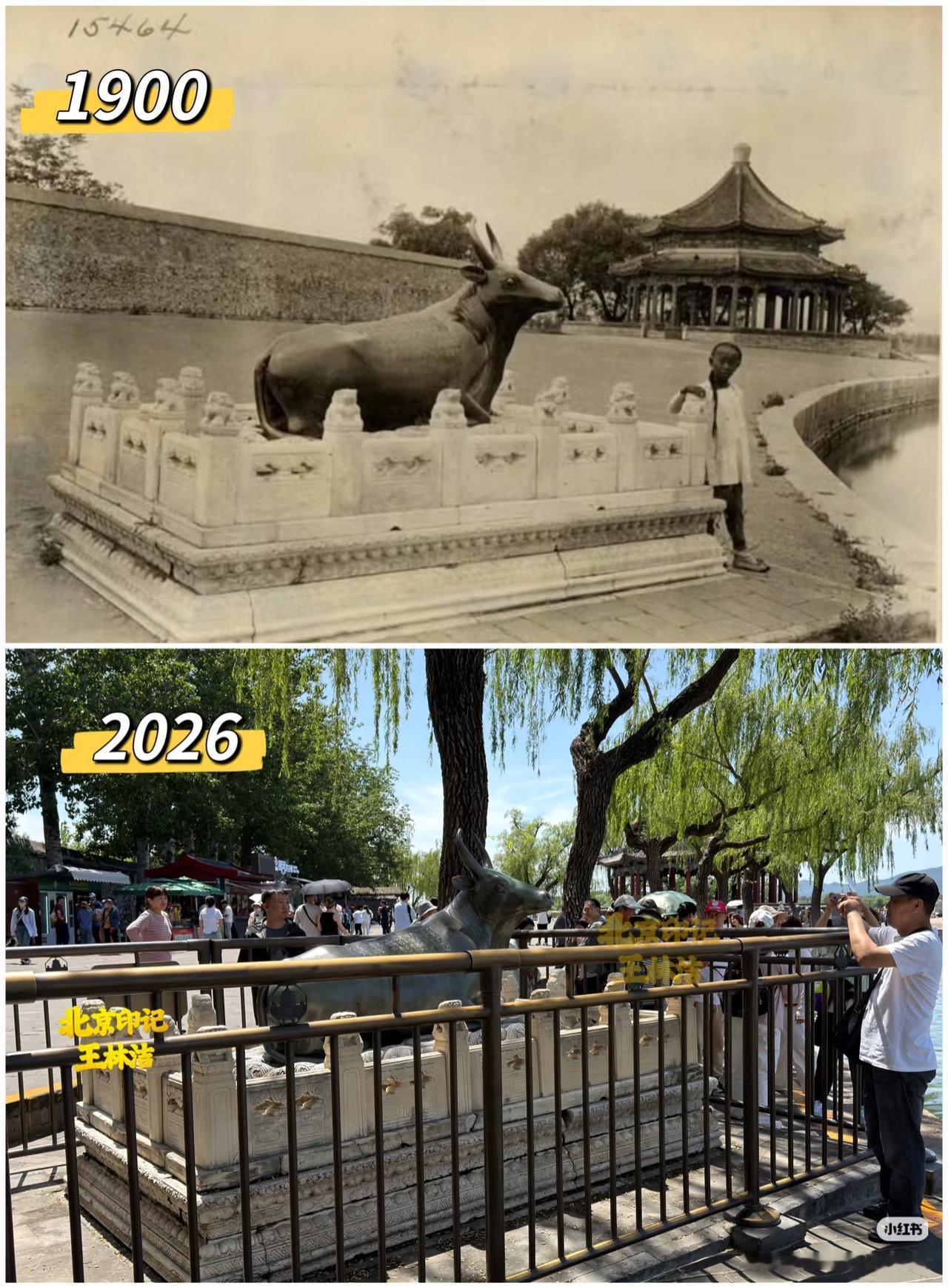 铜牛:这牛最终还得在牛栏里[笑哭]这个栏杆有点多余