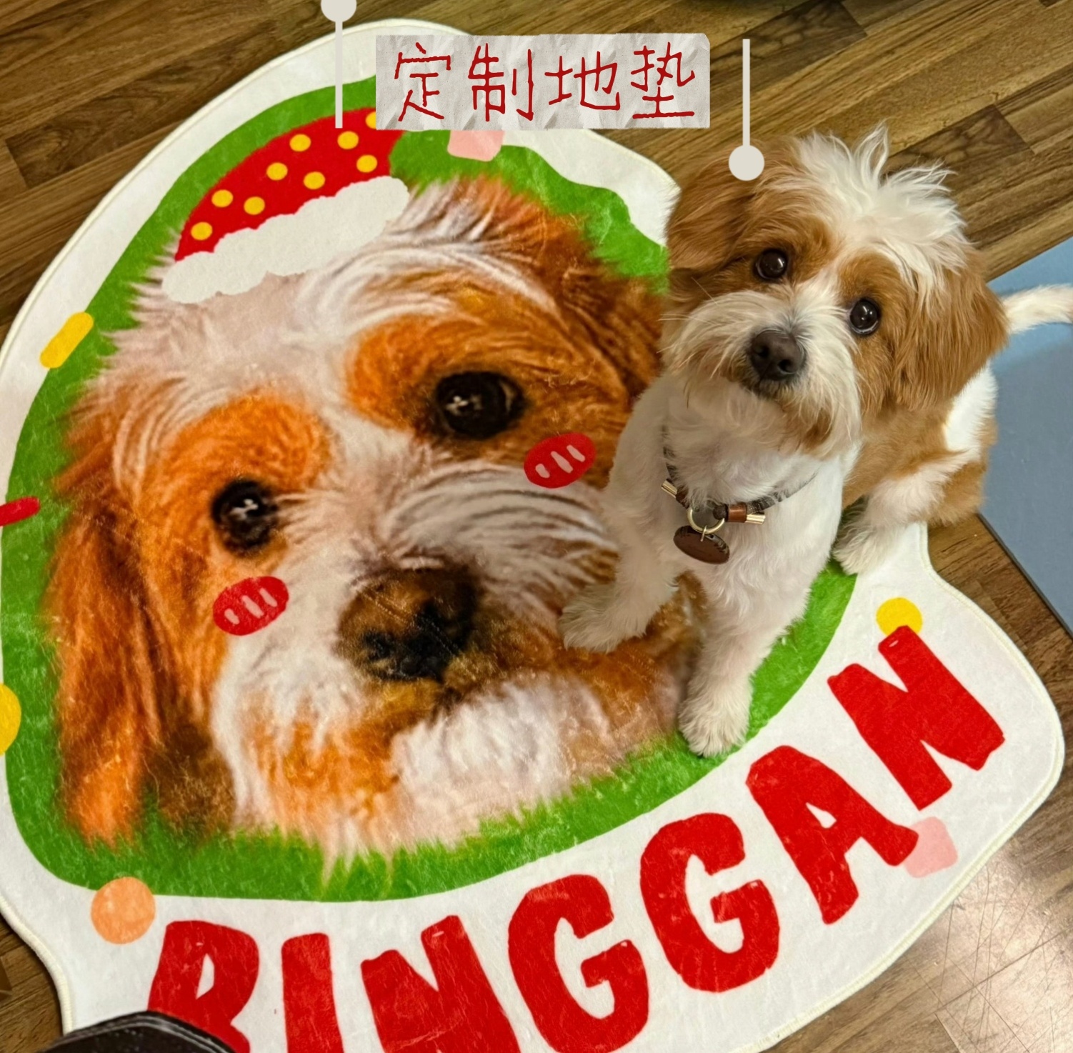 饼干大王和它的信徒。 