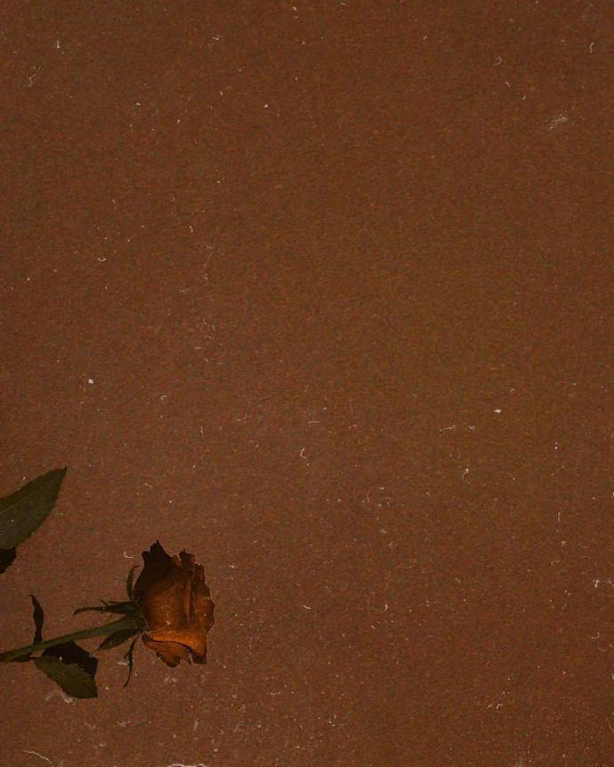 当你专注自己，外界的机会才会来找你。——杨熹