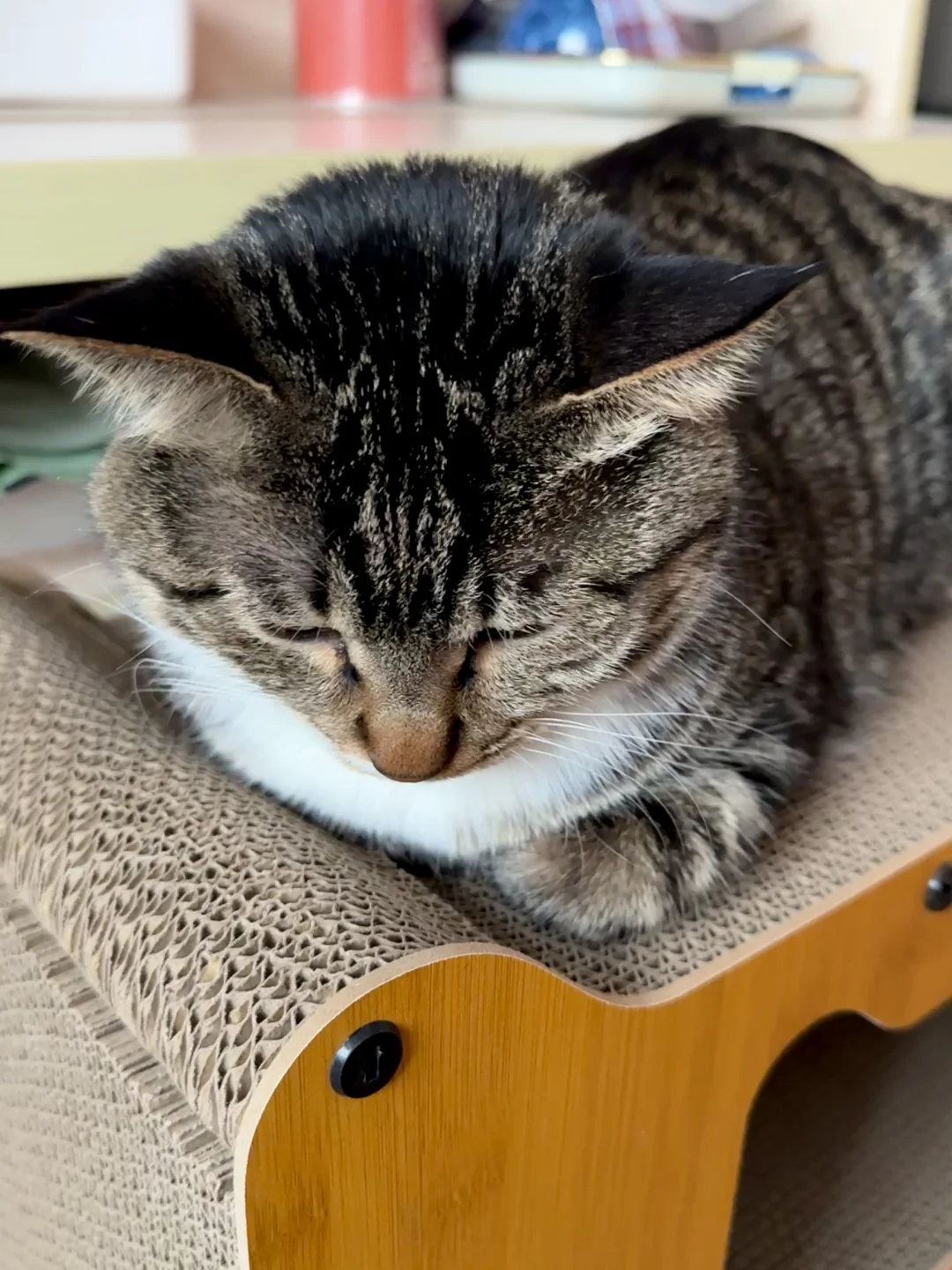 扭一扭，手手必须要揣好