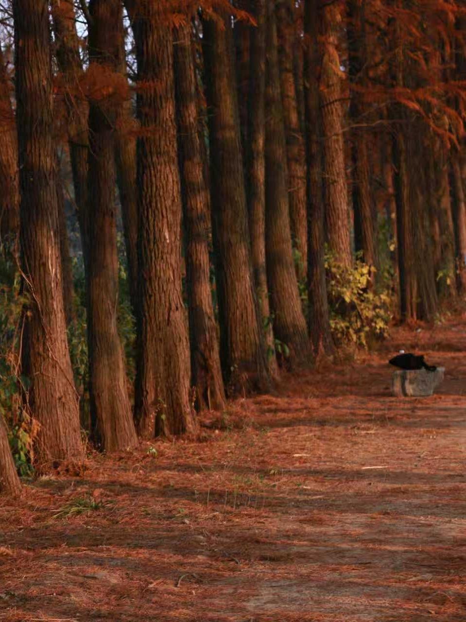 中年人的压力主要来自于：大部分中年人都面临着工作、收入的不稳定性。
有的中年人还