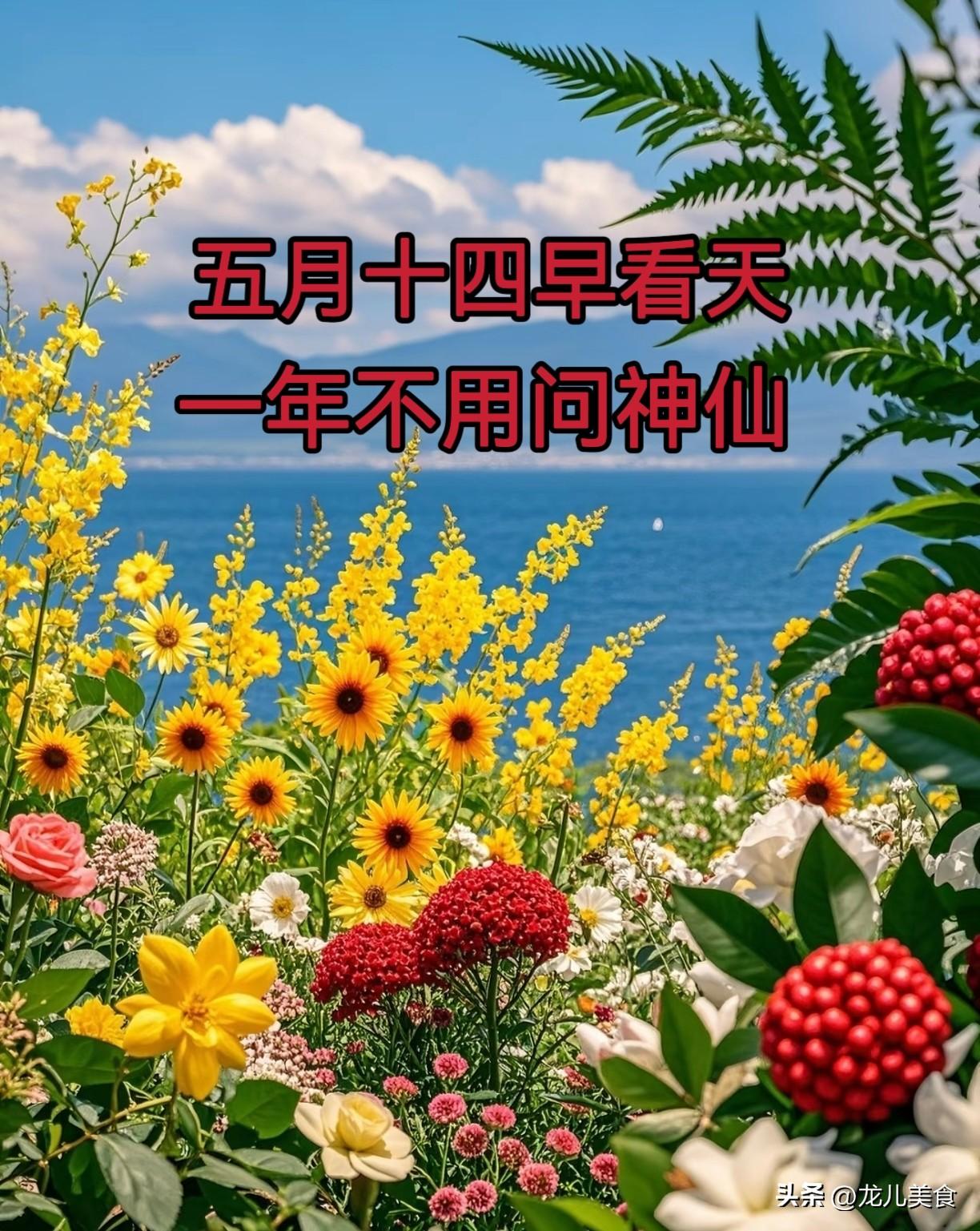 “五月十四早看天，一年不用问神仙”，明日五月十四，有何预兆？
 
明日便是202