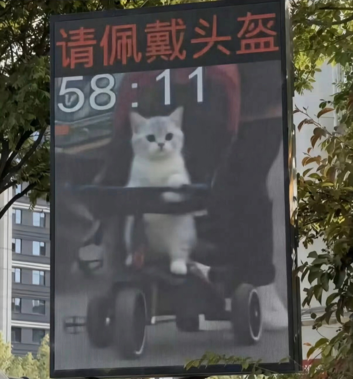 终南山幼年吕洞宾。 ​​​