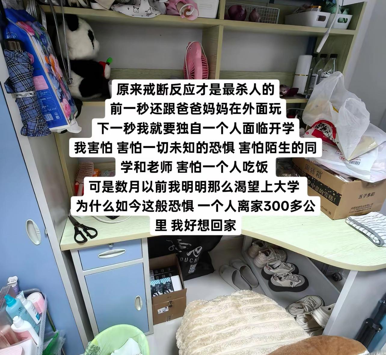 开学就是一场巨大的戒断反应 ​​​
