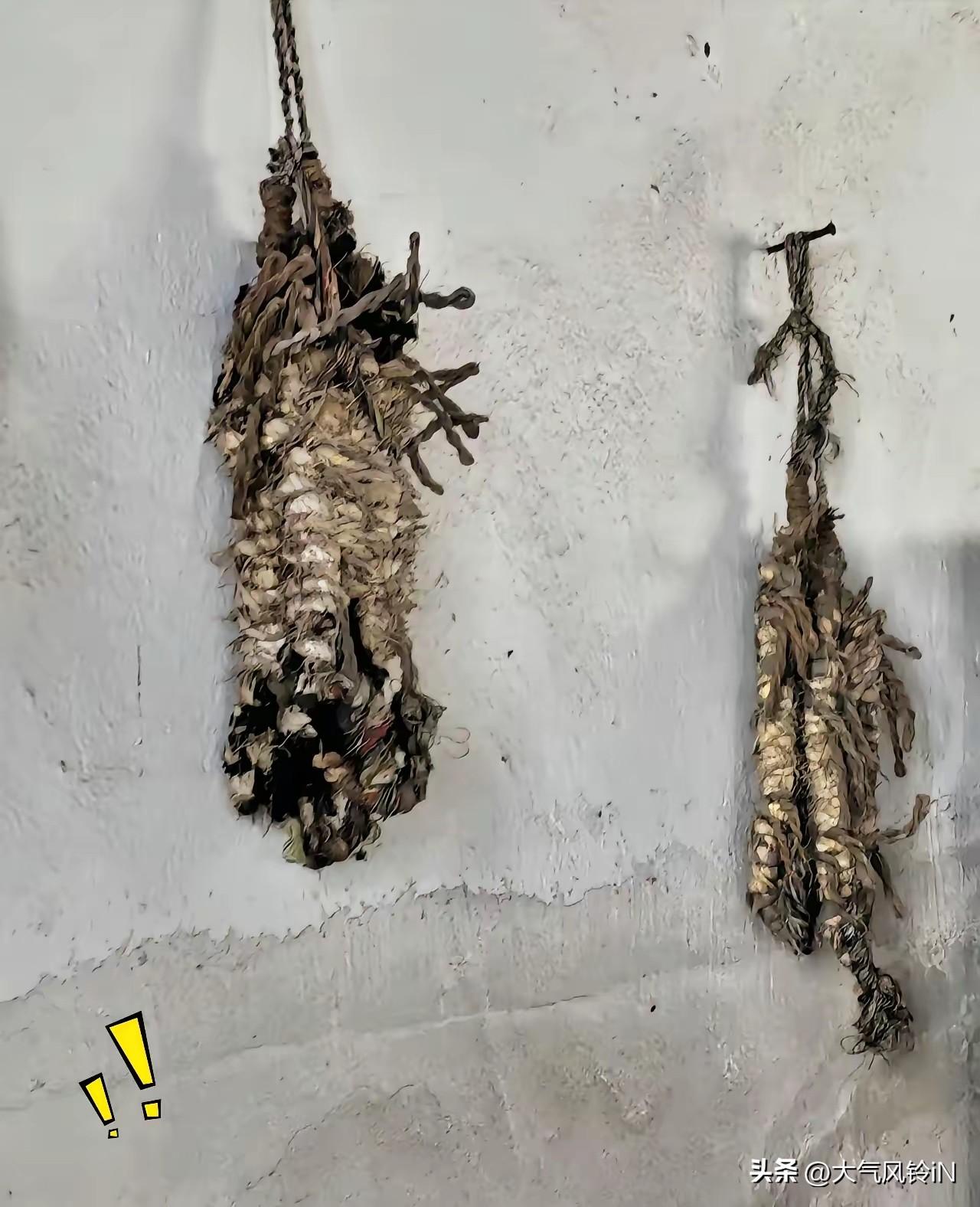 一位网友发文问这是什么老物件？我实属看不懂？，它不就是个蒜子吗？我就不信，您还能