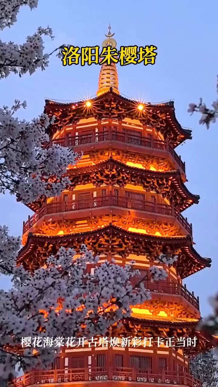 洛阳朱樱塔。
樱花海棠花开古塔焕新彩，打卡正当时。