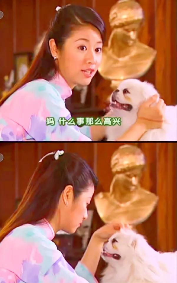 如萍的狗乐乐去哪了？
《情深深雨濛濛》里，还记得那条叫乐乐的狗吗？如萍养的那只，
