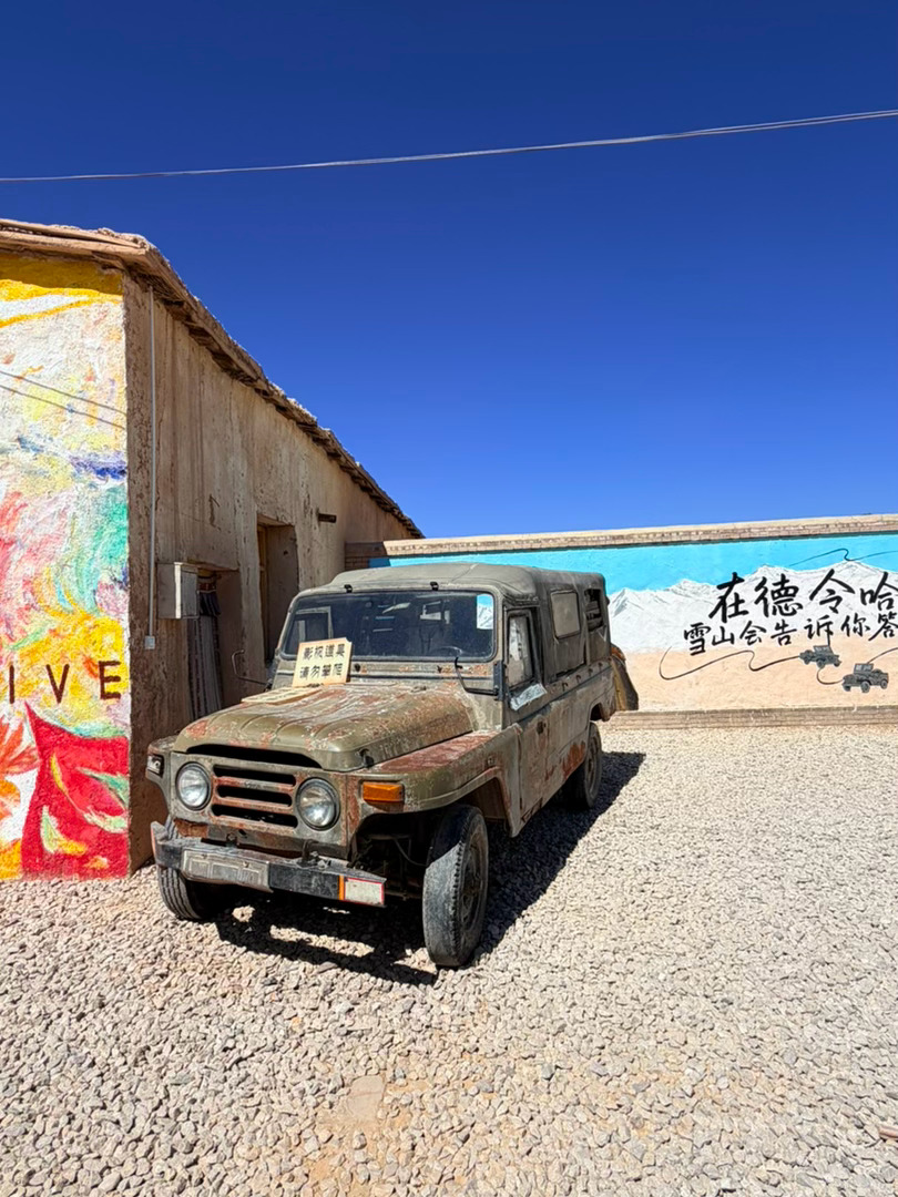 从荧幕走到现实 终于站在《生命树》的取景地我的日常plog 海西