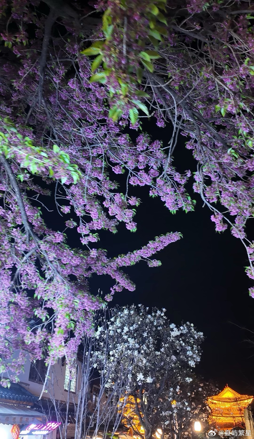 用阅读重塑你的认知我的私人宝藏书单书评 在风景里，谈一场地老天荒的恋爱那个黄昏，